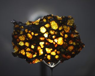 Imilac pallasite meteorite. 