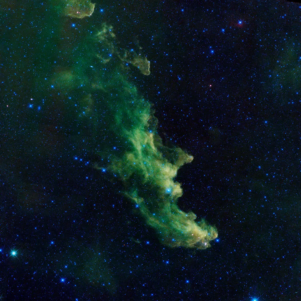 Witch Head Nebula, IC 2118, WISE