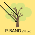 P Band