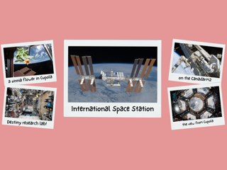 ISS Collage