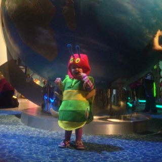 DSC 0547 (1)