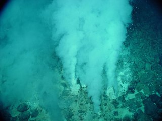 Some of the oldest evidence of life on Earth can be found around these hydrothermal vents.