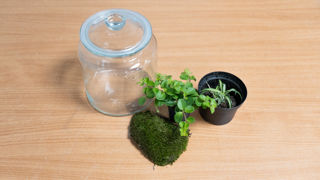 Biome Step 1