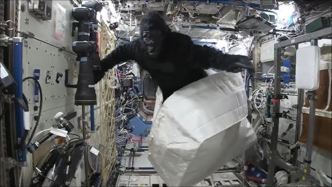 Gorilla Prank on Tim Peake