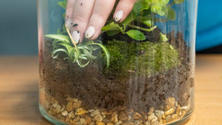 Biome Step 6