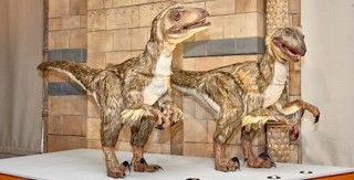 Deinonychus Full Width.Jpg.Thumb.1920.1920 National History Museum