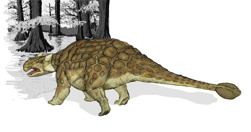 Ankylosaurus