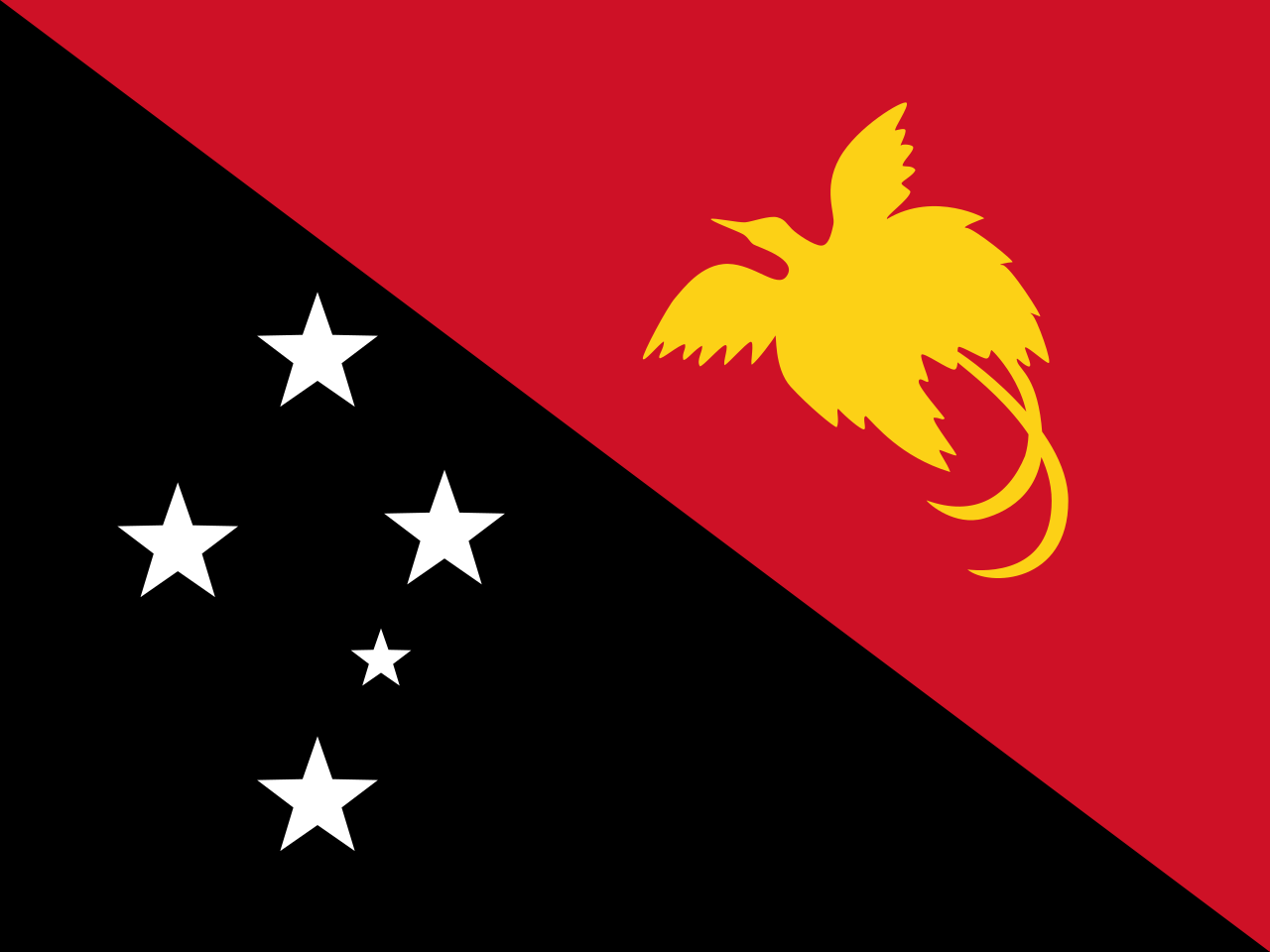 The flag of Papua New Guinea