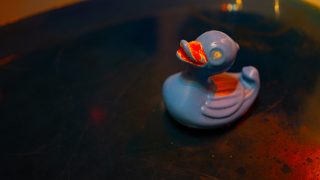 Blue duck in the Saturn floats in a bath tub exhibit
