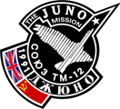 Soyuz TM 12 Patch