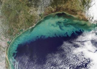 Satellite image of the Gulf Of Mexico, from Space we can see ocean turbulence and its effects.