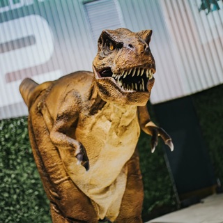 Dino 3 Banner W5