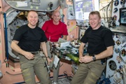 Tim Kopra, Jeff Williams And Tim Peake, Dinner Table