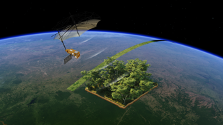 The Biomass satellite will study the world's forests in 3 dimensions using a P-band tomographic radar.