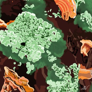 Lichen, moss, and fungi on a branch Illustration. Common Habitat for Tardigrades.