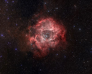 The Rosette Nebula.