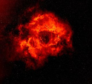 Rosette Nebula S
