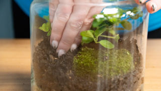 Biome Step 5