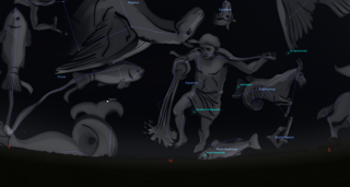 Delta Aquariids 2025