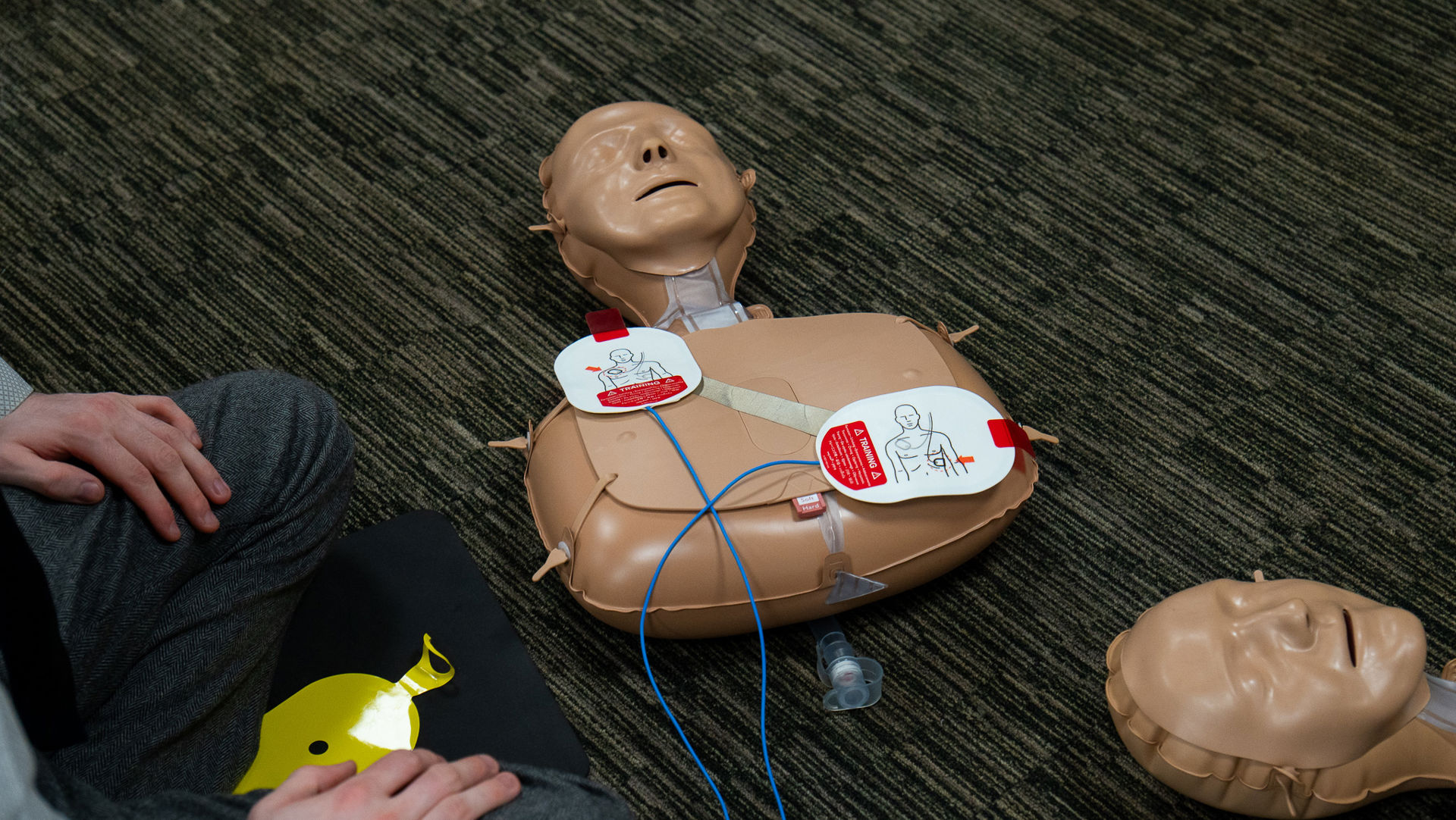 Using The Defib Learning How To Use a Defibrillator From the Experts at Heartwize