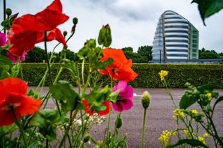 Flowersatsign (3) (1)