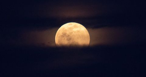 Full Moons and Full Facts
